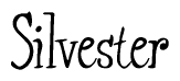 The image is of the word Silvester stylized in a cursive script.