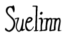The image is of the word Suelinn stylized in a cursive script.