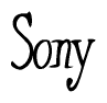 The image is of the word Sony stylized in a cursive script.