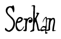 The image is a stylized text or script that reads 'Serkan' in a cursive or calligraphic font.