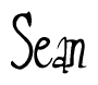 The image is of the word Sean stylized in a cursive script.