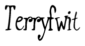 The image contains the word 'Terryfwit' written in a cursive, stylized font.