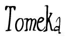 The image is of the word Tomeka stylized in a cursive script.