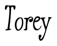 Cursive Script 'Torey' Text