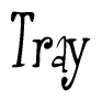 The image is of the word Tray stylized in a cursive script.
