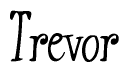 The image contains the word 'Trevor' written in a cursive, stylized font.
