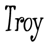 The image is of the word Troy stylized in a cursive script.