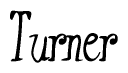 The image is of the word Turner stylized in a cursive script.