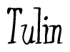 The image is of the word Tulin stylized in a cursive script.