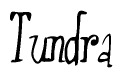 The image is of the word Tundra stylized in a cursive script.
