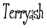 The image is of the word Terryash stylized in a cursive script.