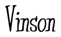 The image contains the word 'Vinson' written in a cursive, stylized font.