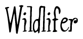 The image is a stylized text or script that reads 'Wildlifer' in a cursive or calligraphic font.