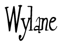   The image is of the word Wylane stylized in a cursive script. 