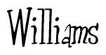 The image is of the word Williams stylized in a cursive script.
