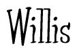 The image is of the word Willis stylized in a cursive script.