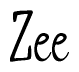 Cursive 'Zee' Text