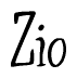 The image contains the word 'Zio' written in a cursive, stylized font.