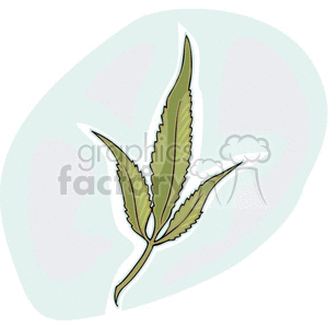 Illustrated Green Leaf