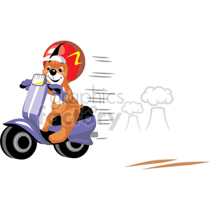 Teddy bear riding a scooter