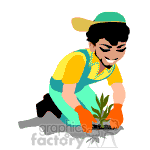 Man planting plants in the garden