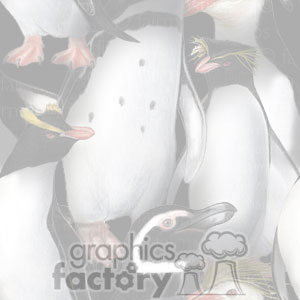 Clipart image of various penguins standing together, showcasing different penguin species.