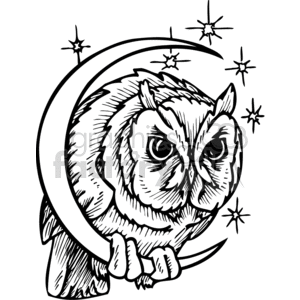 A detailed black and white clipart image of an owl perched on a crescent moon, surrounded by stars.