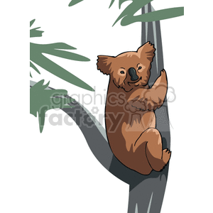 Koala Bear climbing a tree