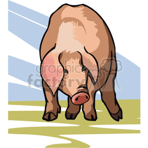 The clipart image depicts a realistic-looking pig standing on a farm. The pig is illustrated using vector graphics, which gives them a clean and crisp appearance. The image can be used to represent farm animals, particularly pigs, in a variety of contexts.
