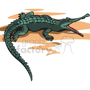 Crocodile with open mouth