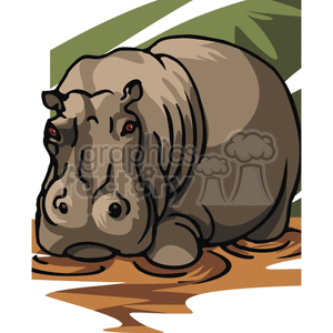   The clipart image shows a realistic vector illustration of a hippopotamus, a large semi-aquatic mammal found in the wild. The image is designed to resemble a photograph and portrays the animal