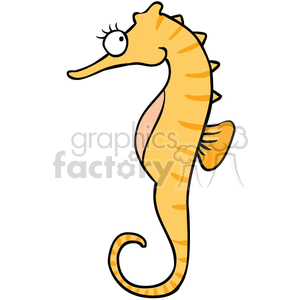   Small seahorse 