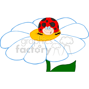 cartoon lady bug sitting on a daisy