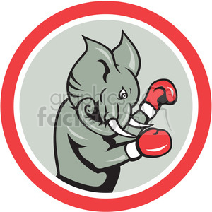 elephant boxing in circle