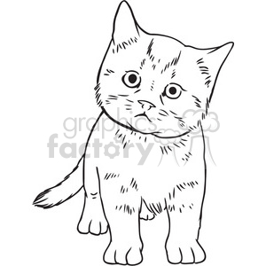   kitten vector RF clip art images 