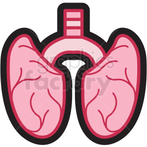 Clipart illustration of human lungs anatomy, showing the structure of the lungs and trachea.