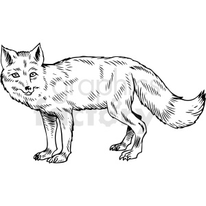 black and white fox vector illustration
