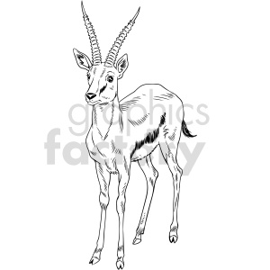 This clipart image features a gazelle. The gazelle is depicted standing, facing slightly to the side, with prominent horns that spiral upwards.