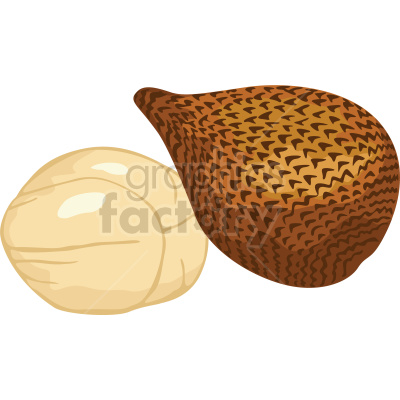 This clipart image features a detailed illustration of salak fruit, also known as snake fruit. The image depicts both the whole fruit with its distinctive scaly brown skin and the peeled fruit, showing the creamy white flesh.