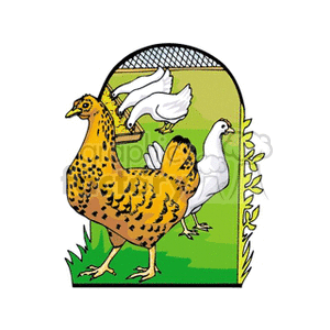 The image depicts a group of chickens on a farm. In the forefront is a large brown and black speckled chicken, which appears to be a hen, in profile view showing its right side. Behind the hen, there are two more chickens. One chicken is white and seems to be pecking at the ground, likely feeding, and another white chicken is in motion, possibly flapping its wings or starting to take off. They are enclosed in an area with a fence in the background, and there are green plants at the base of the image, indicating a grassy environment.