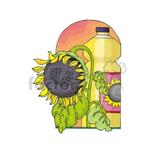 This clipart image features a vibrant sunflower with bright yellow petals and a dark center next to a plastic bottle labeled with a design indicating sunflower oil. The overall theme suggests agriculture and the production of sunflower oil, a product derived from sunflower seeds.