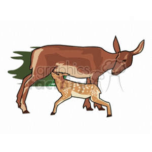 The clipart image shows a brown doe with a fawn. The doe appears to be in a standing position while the fawn is positioned closely, potentially suggesting a moment of nurturing or feeding. The image is stylized rather than realistic, with simple lines and shapes depicting the animals.