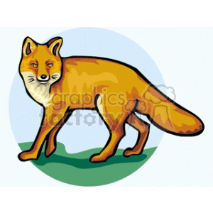 Illustration of a Sly Red Fox on Green Grass