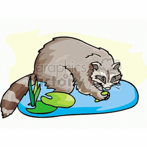 Cartoon Raccoon Foraging