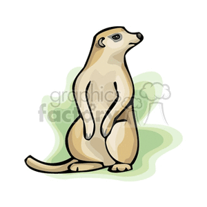 Cartoon Prairie Dog