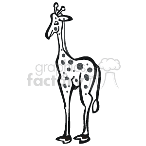 Black and white cartoon giraffe