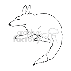 Gray Kangaroo Mouse line drawing
