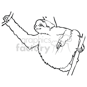 Sloth moving from one branch to another line drawing