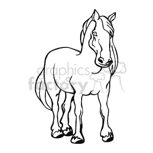   The image shows a line art drawing of a horse. The horse has a long mane. The horse
