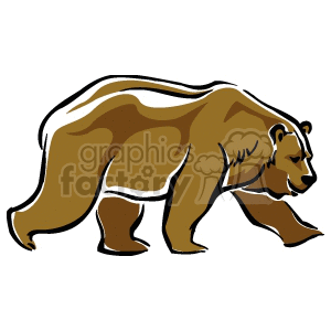 Brown bear walking